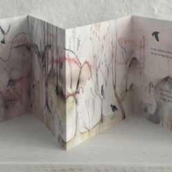 Rachel Shaw - (Leda) Transcendence Concertina book Limited Edition - Collaboration with words by Candice Orwell Rachel Shaw - (Leda) Transcendence Concertina book Limited Edition - Collaboration with words by Candice Orwell