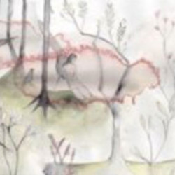 Rachel Shaw - Leda Transcendence, 13x10cm Folded concertina - Collaboration with words by Candice Orwell Rachel Shaw - Leda Transcendence, 13x10cm Folded concertina - Collaboration with words by Candice Orwell